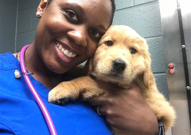 Kindness Animal Hospital | Wheaton veterinarians