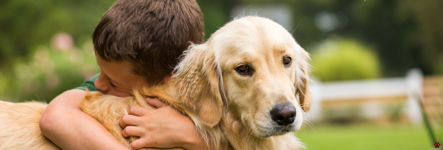 best vet near me
